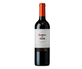 Vinho Casillero del Diablo Carmenere